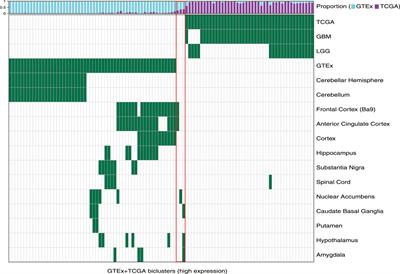 Cilium Expression Score Predicts Glioma Survival